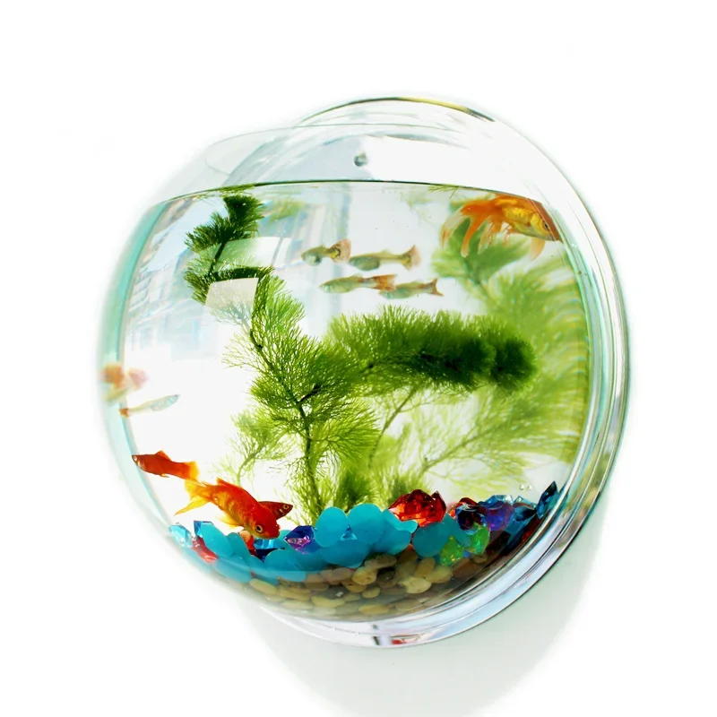 Betta Fish Tank - Pinsjar 아크릴 어항 벽걸이 수족관 탱크,