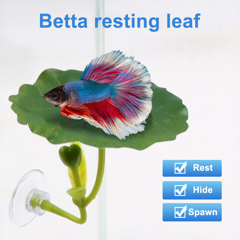 Betta Fish Tank - (Ce14) 1/5개입, 녹색 잎 모양의 해먹