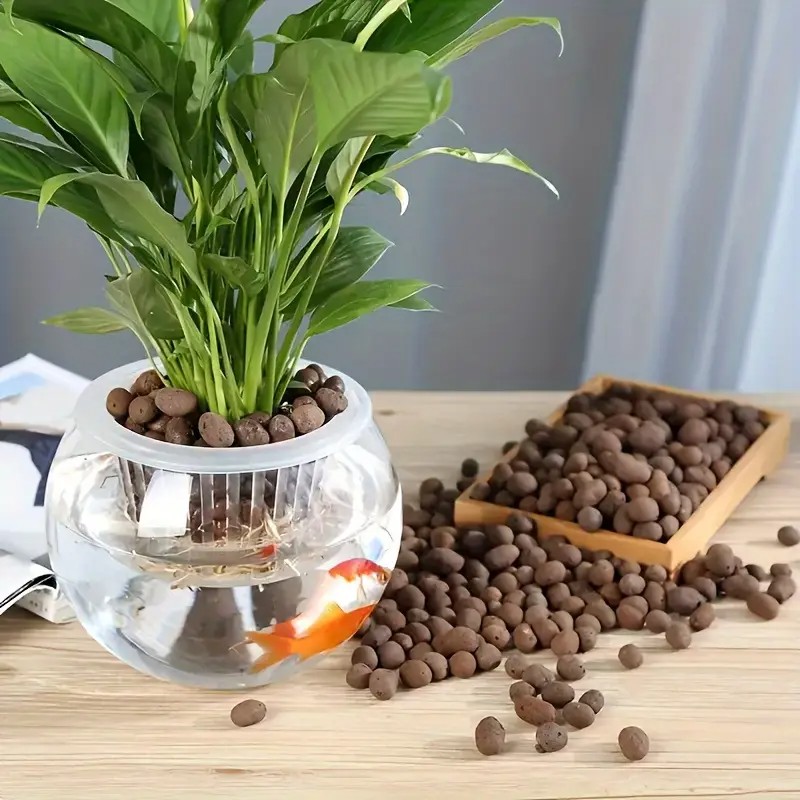 수족관 장식, 수생 식물 재배, 다육 식물 및 분재용  - Aquarium Decor 리뷰 및 가격