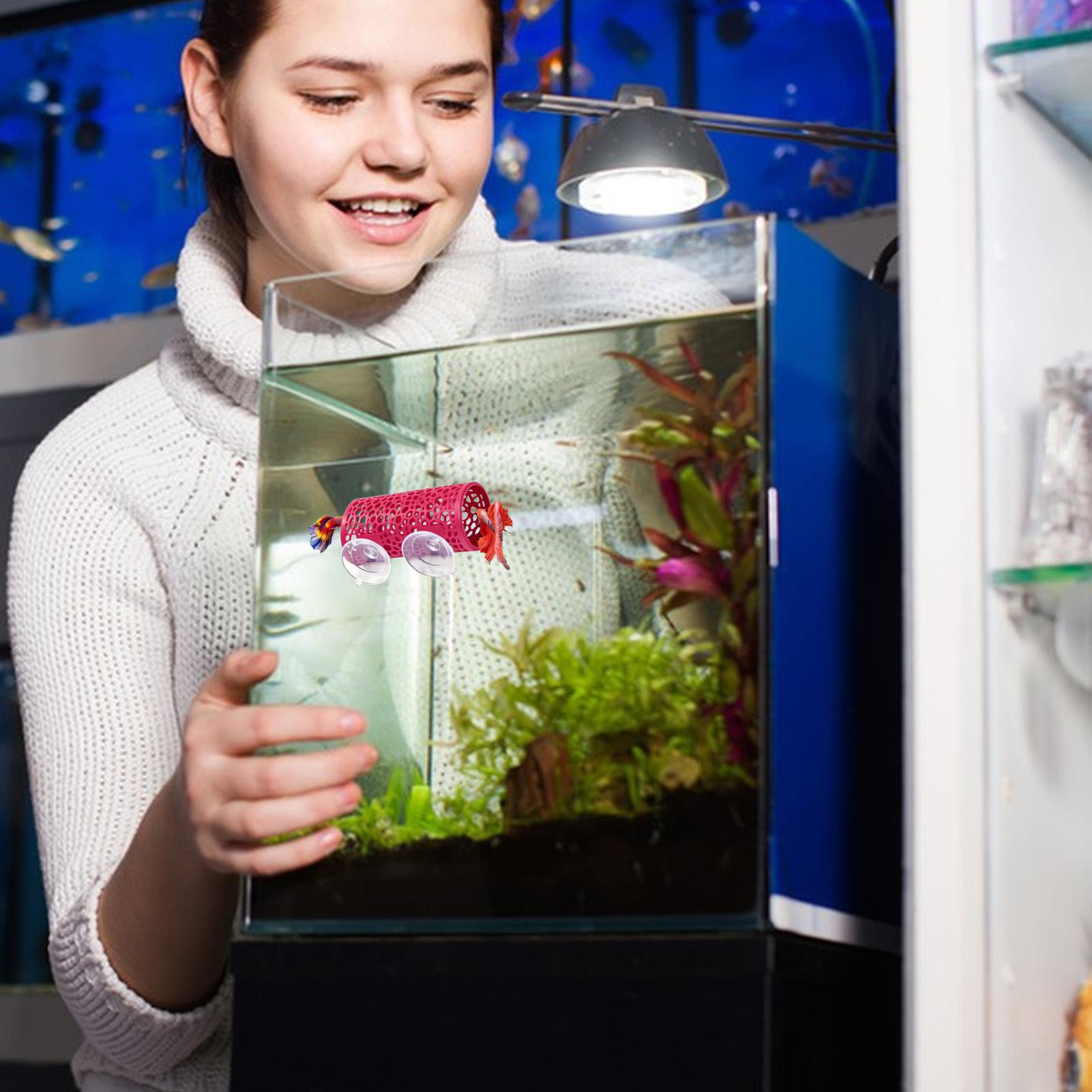 베타 생태 환경 휴식처 장식품 물고기 터널 장난감, 수 - Betta Fish Tank 리뷰 및 가격