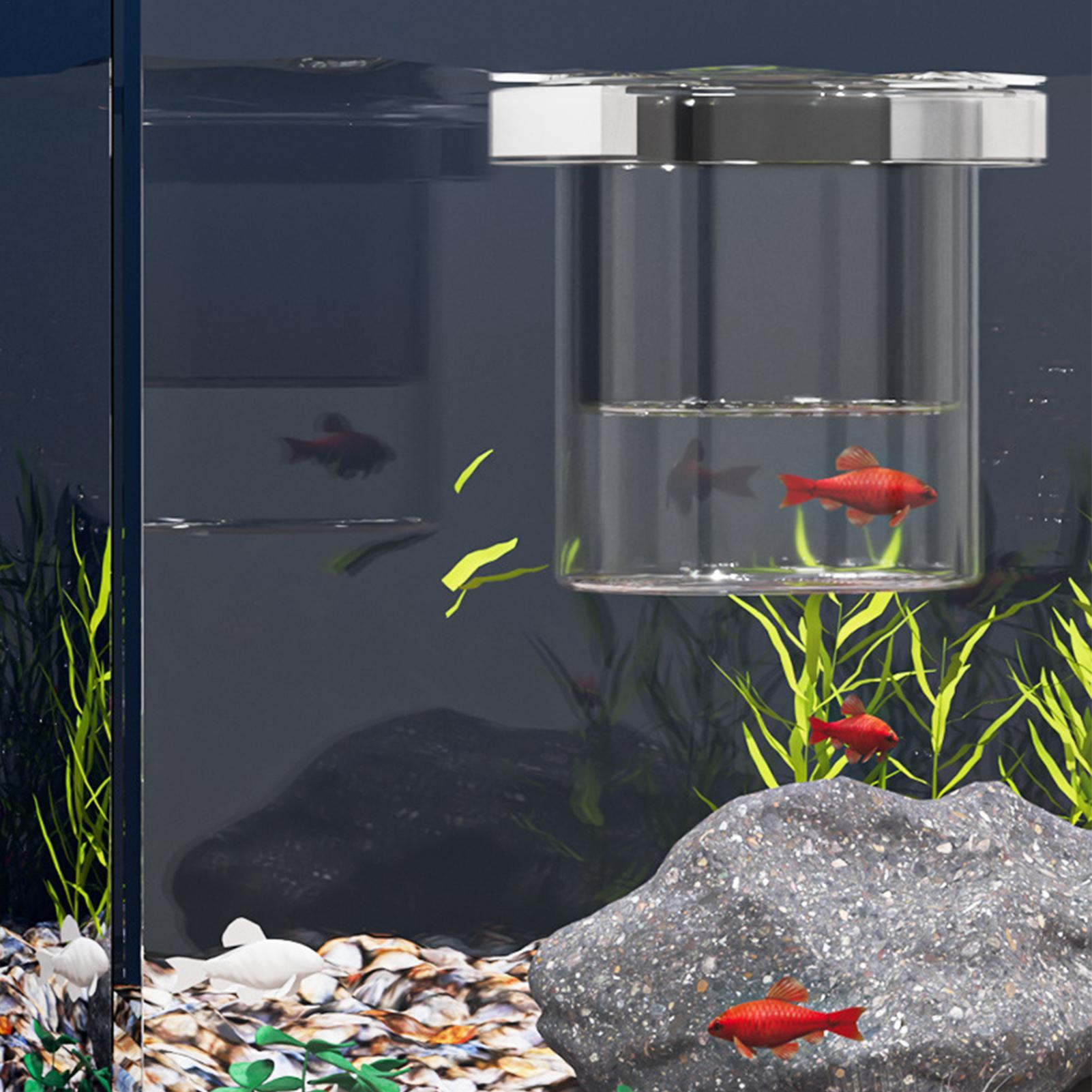 내구성 있는 어류 사육 상자, 어항 격리 상자, 육추용 - Betta Fish Tank 리뷰 및 가격