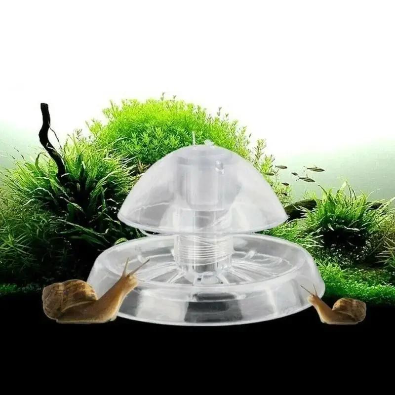 2026년형 새로운 6/8CM 투명 플라스틱 달팽이 트 - Fish Aquarium Home 리뷰 및 가격