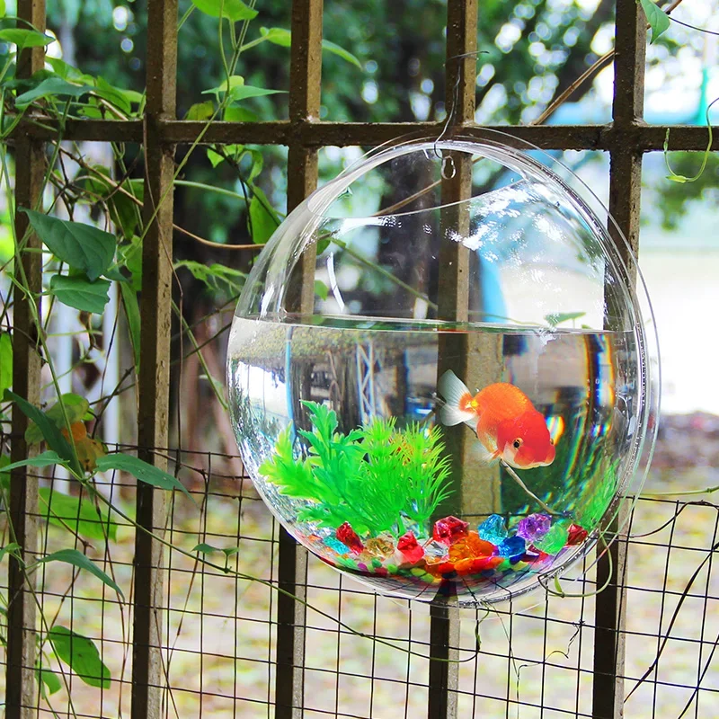 Pinsjar 아크릴 어항 벽걸이 수족관 탱크, 수생  - Betta Fish Tank 리뷰 및 가격