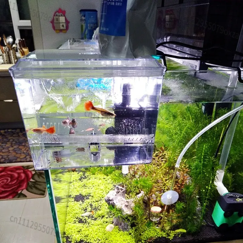 220V 수족관용 걸이형 번식 분리 상자, 내장 펌프, - Aquarium Pump 리뷰 및 가격