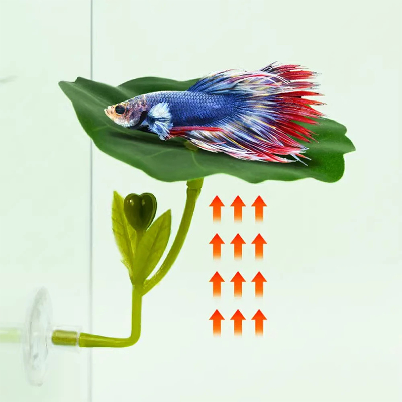(Ce14) 1/5개입, 녹색 잎 모양의 해먹 장식.  - Betta Fish Tank 리뷰 및 가격