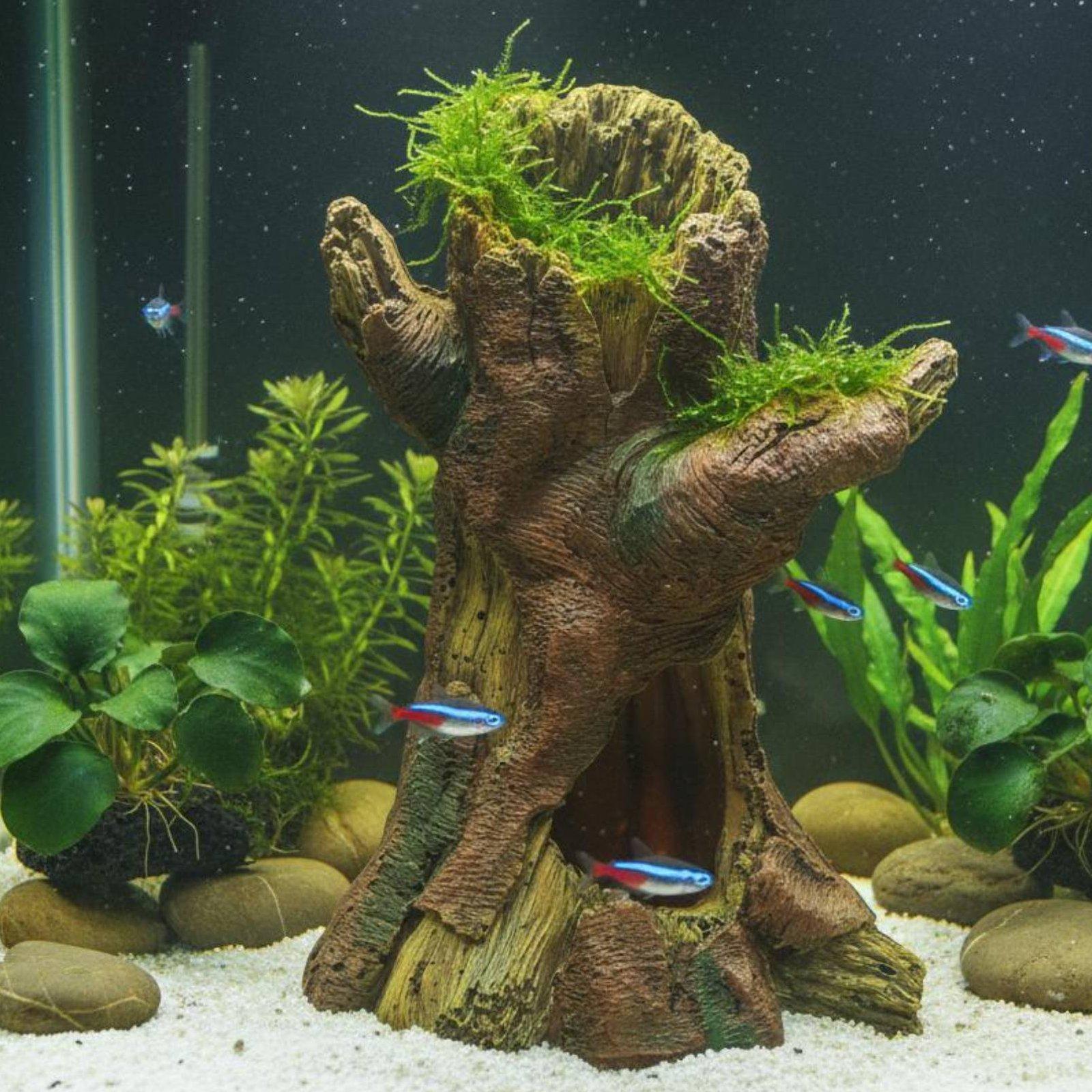수족관 조경 장식 수족관 데코 레진 나무 줄기 쉼터 ( - Aquarium Decor 리뷰 및 가격