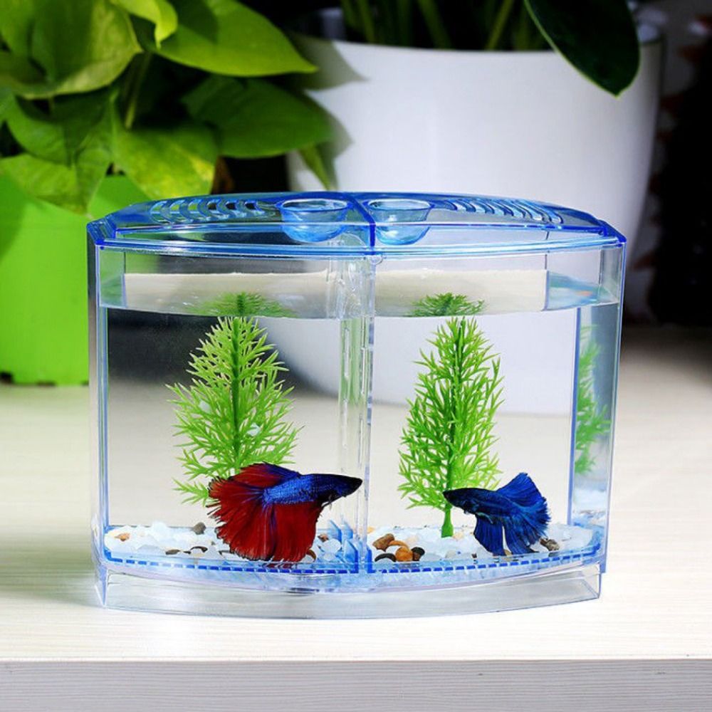 Betta 투명 어항, 이중 격자 마름모 구피 수족관, - Betta Fish Tank 리뷰 및 가격