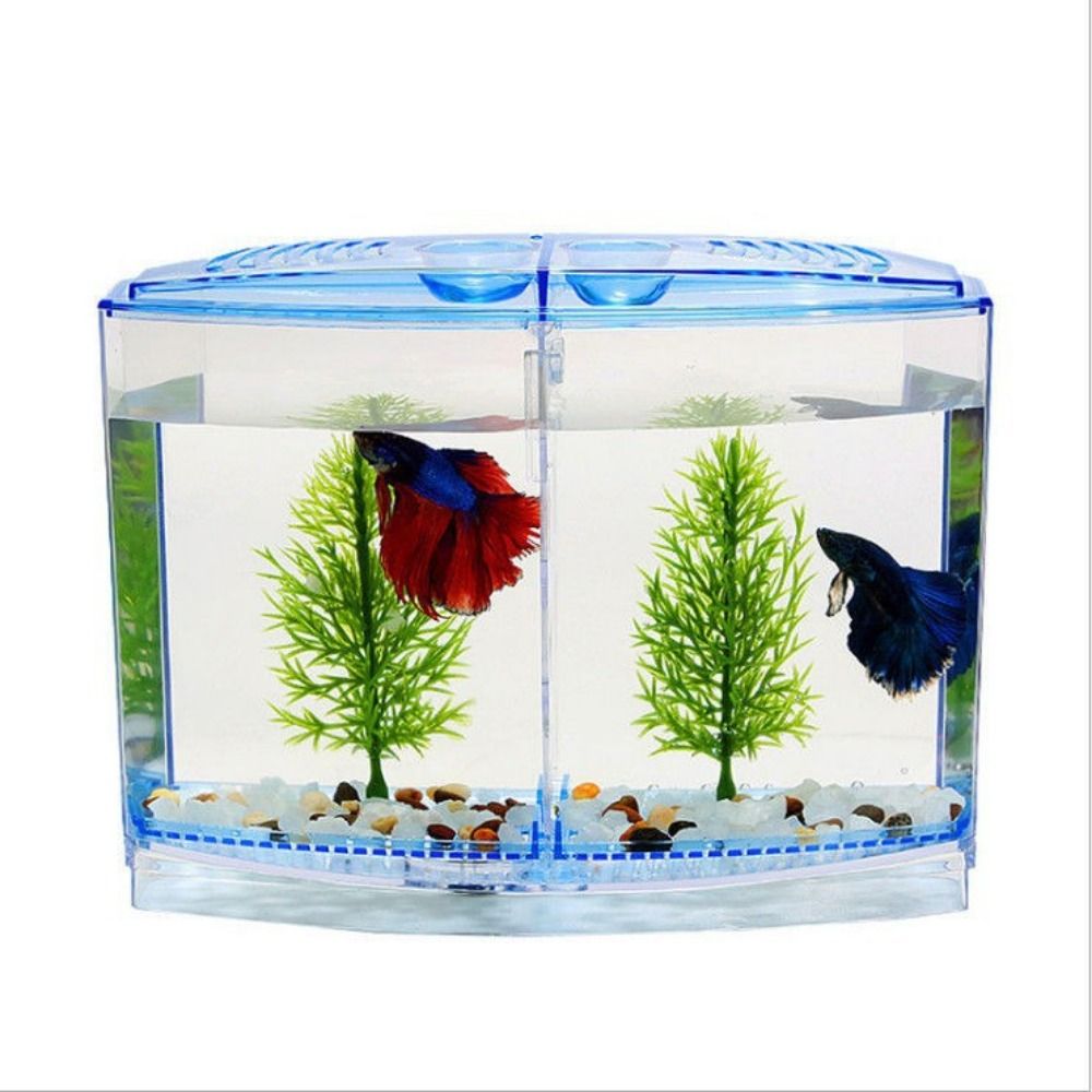 Betta 투명 어항, 이중 격자 마름모 구피 수족관, - Betta Fish Tank 리뷰 및 가격