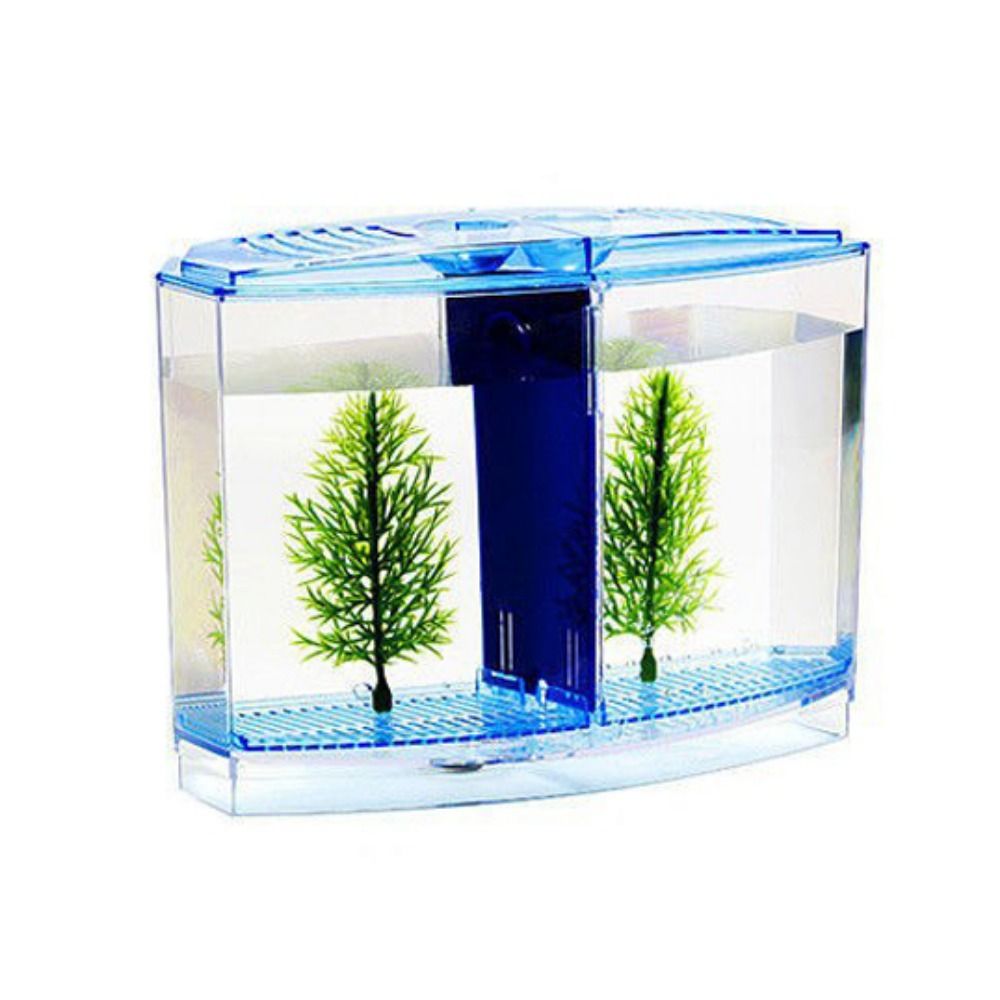 Betta 투명 어항, 이중 격자 마름모 구피 수족관, - Betta Fish Tank 리뷰 및 가격