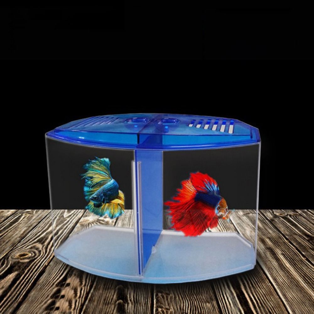 Betta 투명 어항, 이중 격자 마름모 구피 수족관, - Betta Fish Tank 리뷰 및 가격