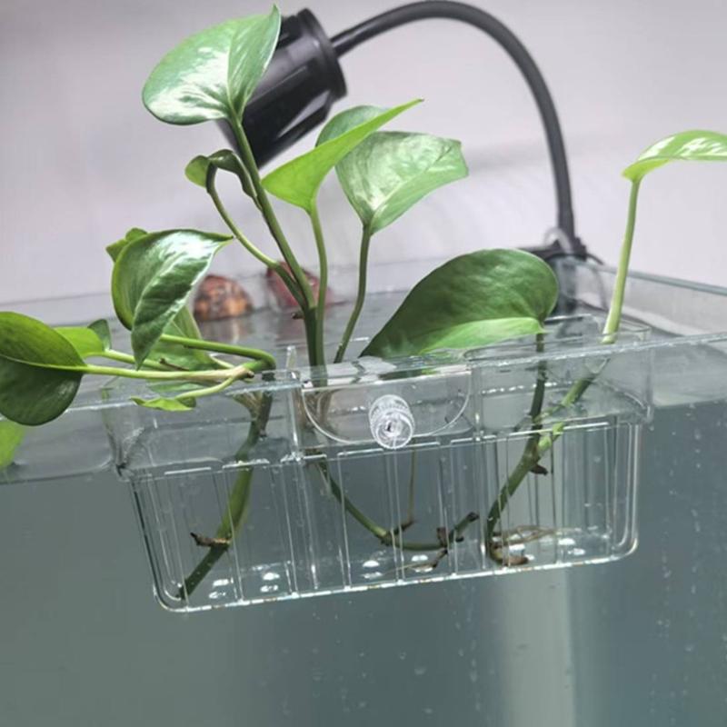수경재배 식물 바구니 식품 등급 수생 식물 홀더 1개입 - Aquarium Decor 리뷰 및 가격