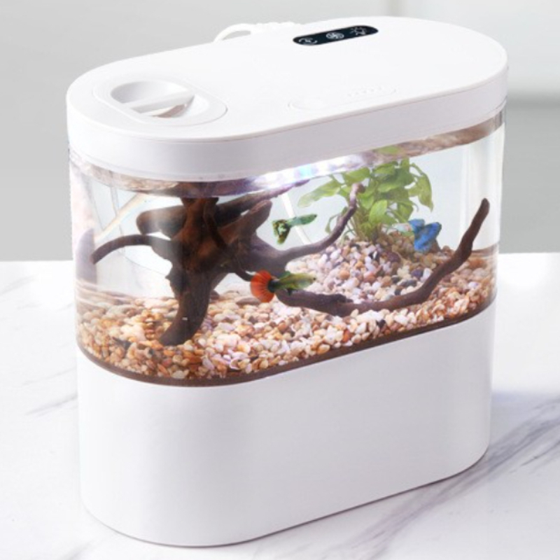창의적인 미니 데스크탑 어항, 생화학 여과 시스템과 L - Betta Fish Tank 리뷰 및 가격