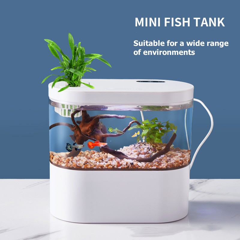 창의적인 미니 데스크탑 어항, 생화학 여과 시스템과 L - Betta Fish Tank 리뷰 및 가격