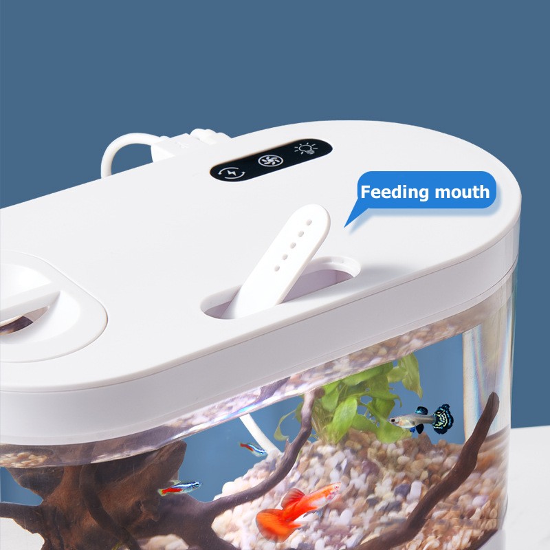 창의적인 미니 데스크탑 어항, 생화학 여과 시스템과 L - Betta Fish Tank 리뷰 및 가격